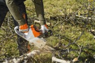 Screenshot-2025-07-28-120509