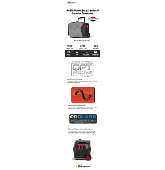 Briggs P4500 4.5 Feature Poster