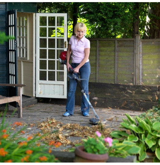 Blower-Lifestyle-526x541