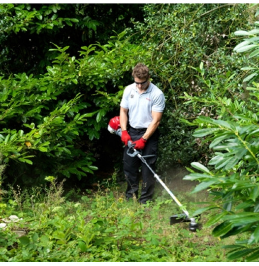 HONDA-Brushcutter-526x541